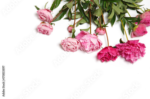 Fototapeta Naklejka Na Ścianę i Meble -  A bouquet of pink peonies lies on a white background.