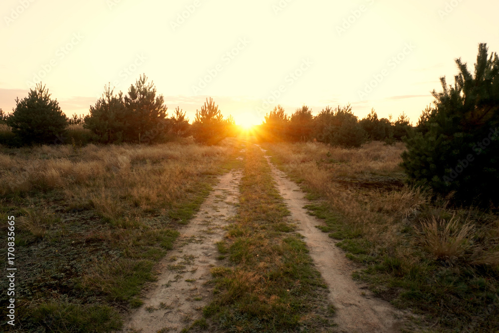 Sun Shining Over Road, Path, Walkway Through Forest. Sunset Sunrise Sun Shining Over Road, Path, Walkway Through Forest. Sunset Sunrise