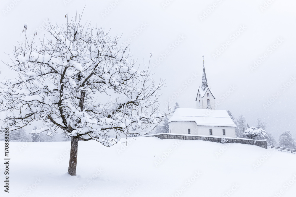 Church of Versam among the snow-laden trees, Versam, Safiental, Surselva, Graubunden