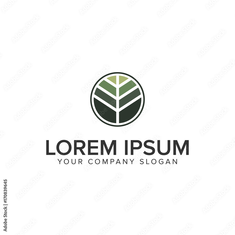 leaf circle logo design concept template leaf circle logo design concept template