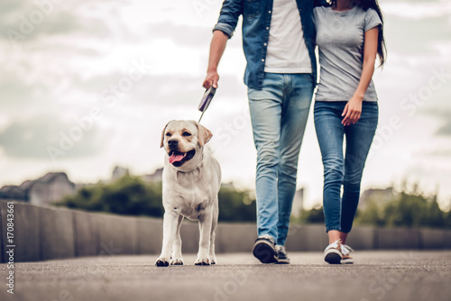 Couple on a walk with dog