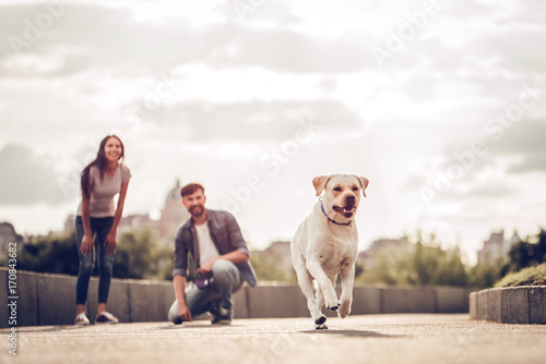 Photography Couple on a walk with dog