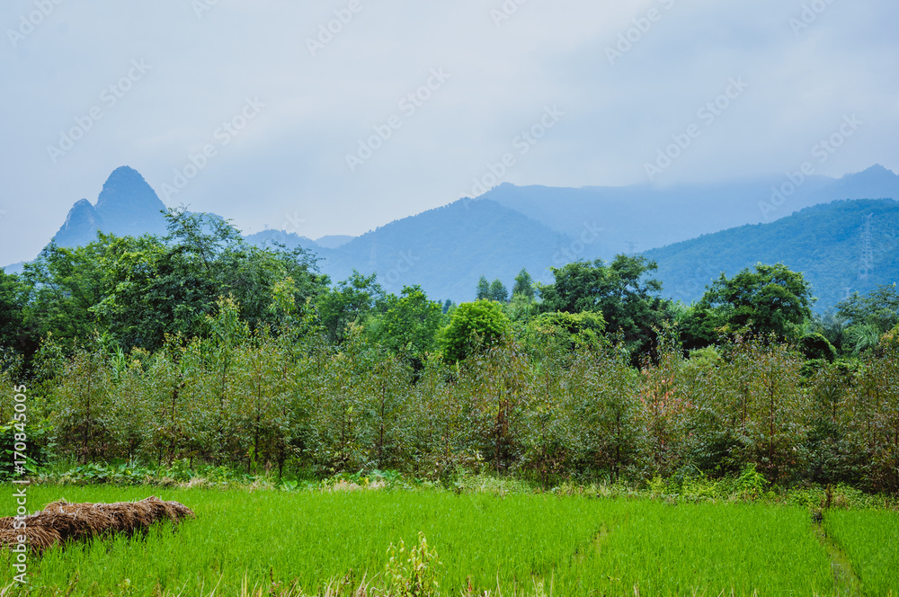 Fototapeta premium Beautiful countryside scenery in autumn