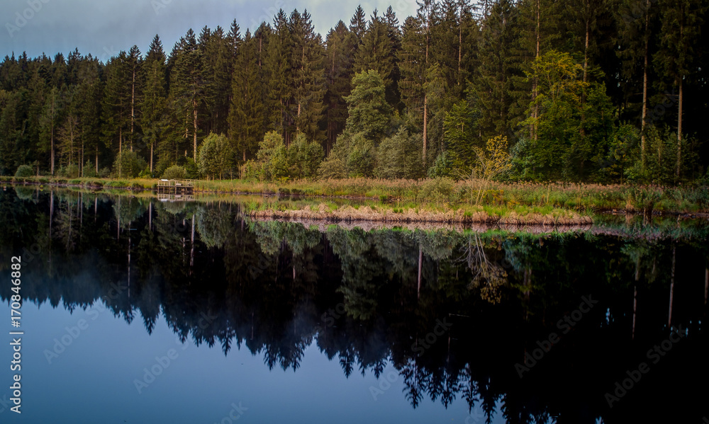 Fototapeta premium reflections of a forest on a lake at golden hour