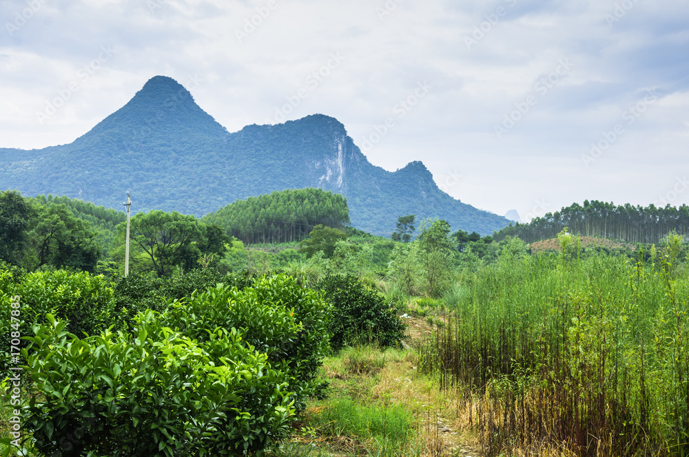 Fototapeta premium Mountains and countryside scenery 