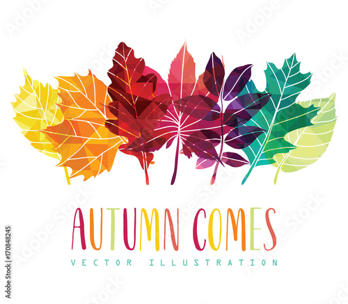  Hand drawn leaves composition. Autumn background. Vector illustration.