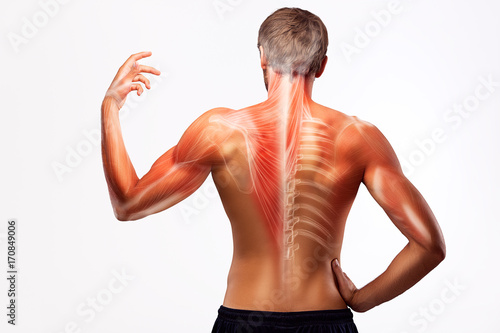 Man's back bones illustration. photo