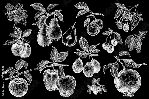 Berries and fruit big set.