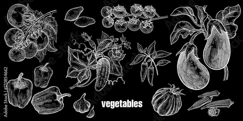 Vegetables isolated set.