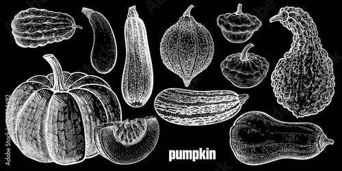 Pumpkin. Vegetables set.