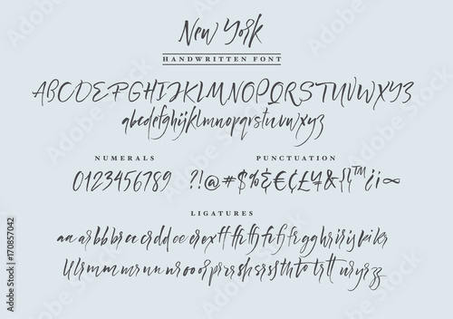 New York handwritten font. Script.  photo