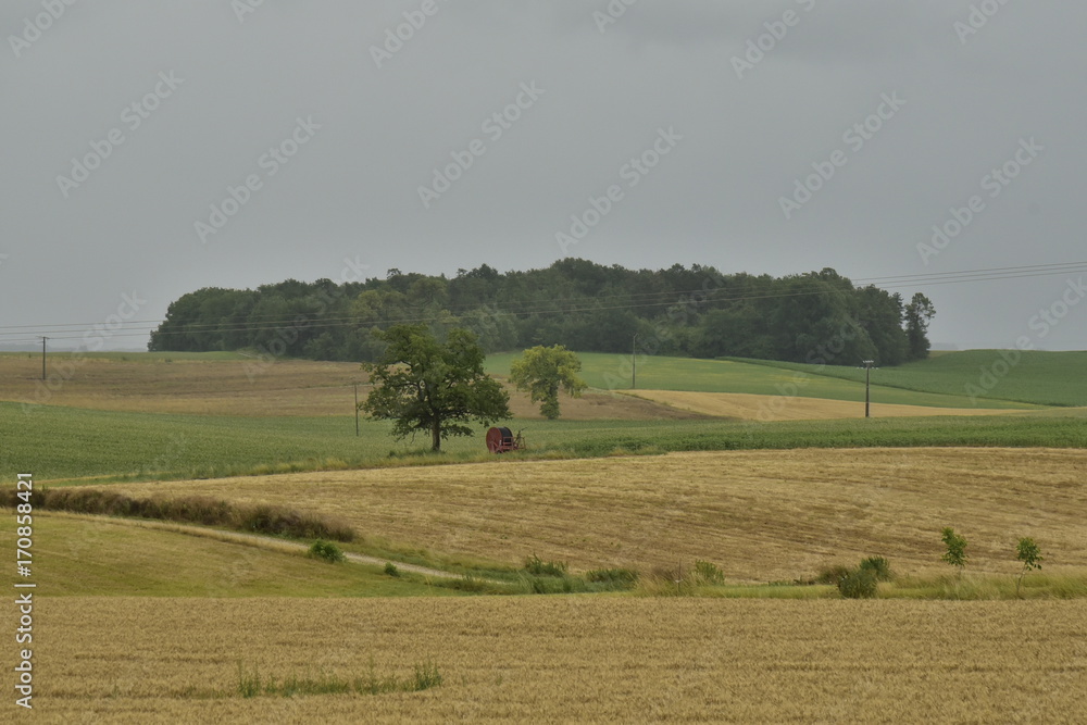 Parcelle boisée au sommet d'une colline de champs sous un ciel de pluie près de Fontaine, au Périgord Vert Parcelle boisée au sommet d'une colline de champs sous un ciel de pluie près de Fontaine, au Périgord Vert