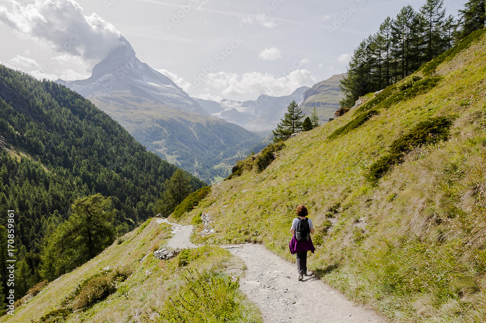 Zermatt, Dorf, Findeln, Findelbach, Sunnegga, Wanderweg, Wanderferien, Wallis, Alpen, Matterhorn, Lärchenwald,  Sommer, Schweiz