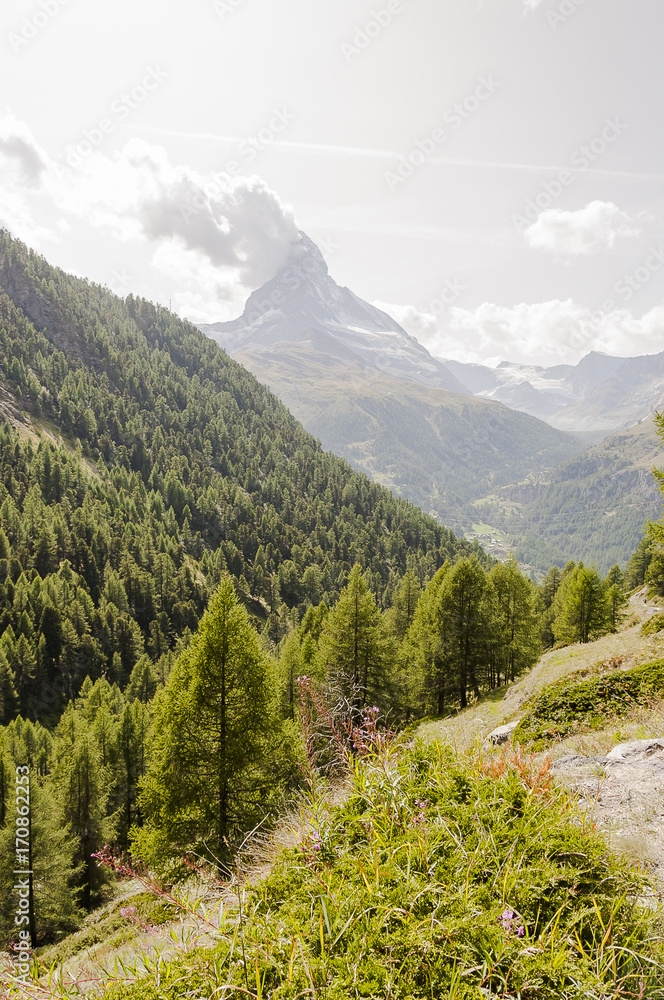 Obraz premium Zermatt, Dorf, Findeln, Sunnegga, Findelbach, Findelbachschlucht, Wanderweg, Alpen, Matterhorn, Zmuttgletscher, Wallis, Sommer, Schweiz