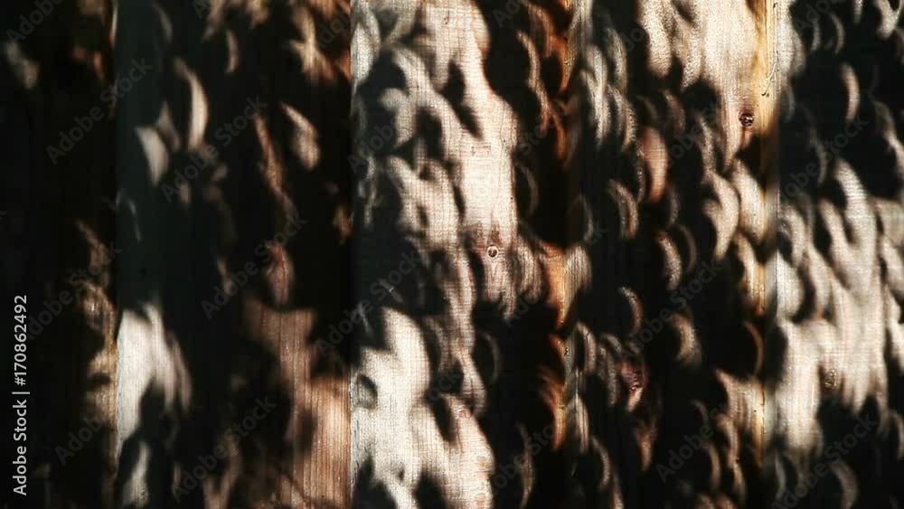 Crescent shapes on a wood fence seen through leaves during a partial eclipse in California
