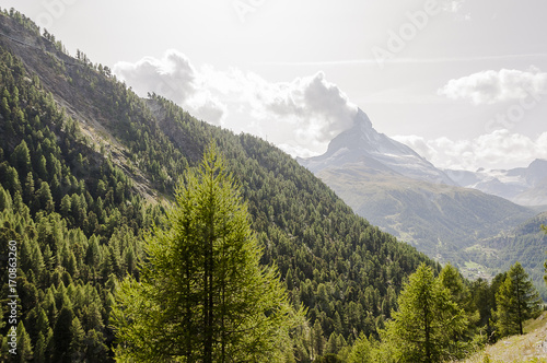 Zermatt, Dorf, Findeln, Findelbach, Wanderweg, Findelbachschlucht, Schlucht, Alpen, Matterhorn, Lärchenwald, Arve, Wallis, Sommer, Schweiz