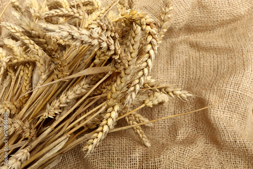 Weizen und Jute