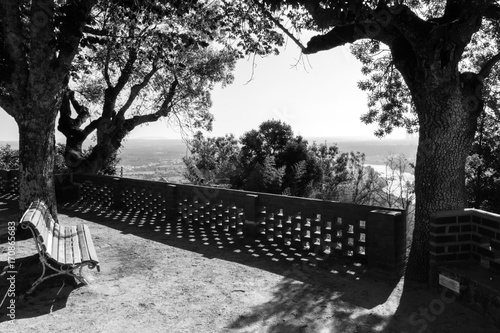 Empty Bench View