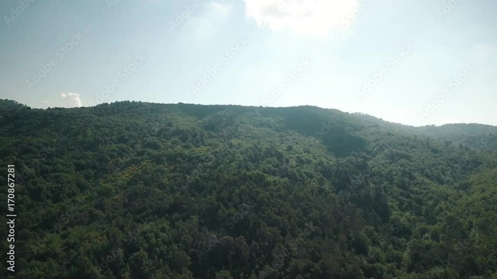 VUE AERIENNE D'UNE FORET PAR DRONE VUE AERIENNE D'UNE FORET PAR DRONE