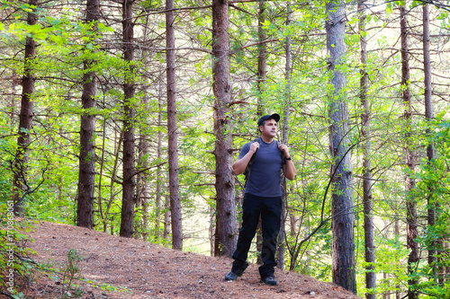 A man crosses the path in the forest of wild pines