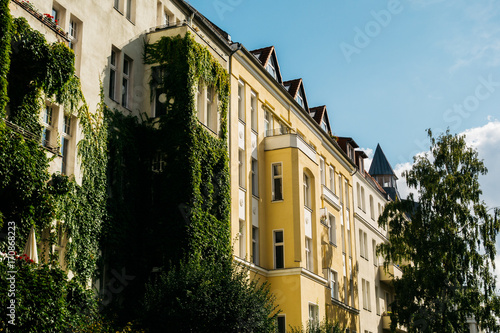 beautiful building with yellow facade and ivy