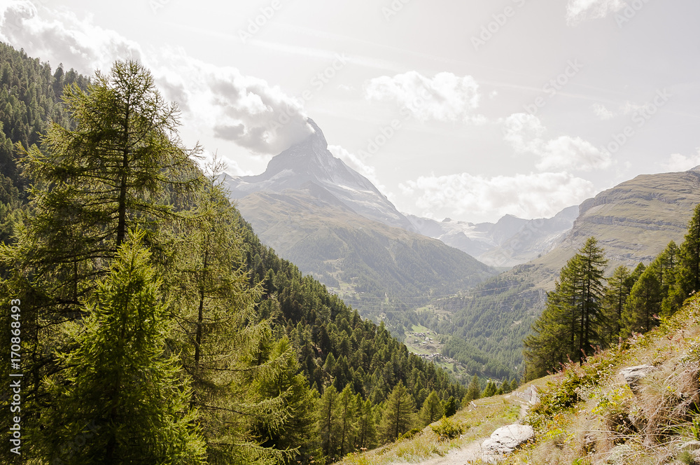 Obraz premium Zermatt, Dorf, Findeln, Findelbach, Findelbachschlucht, Schlucht, Wanderweg, Alpen, Matterhorn, Lärchenwald, Wallis, Sommer, Schweiz