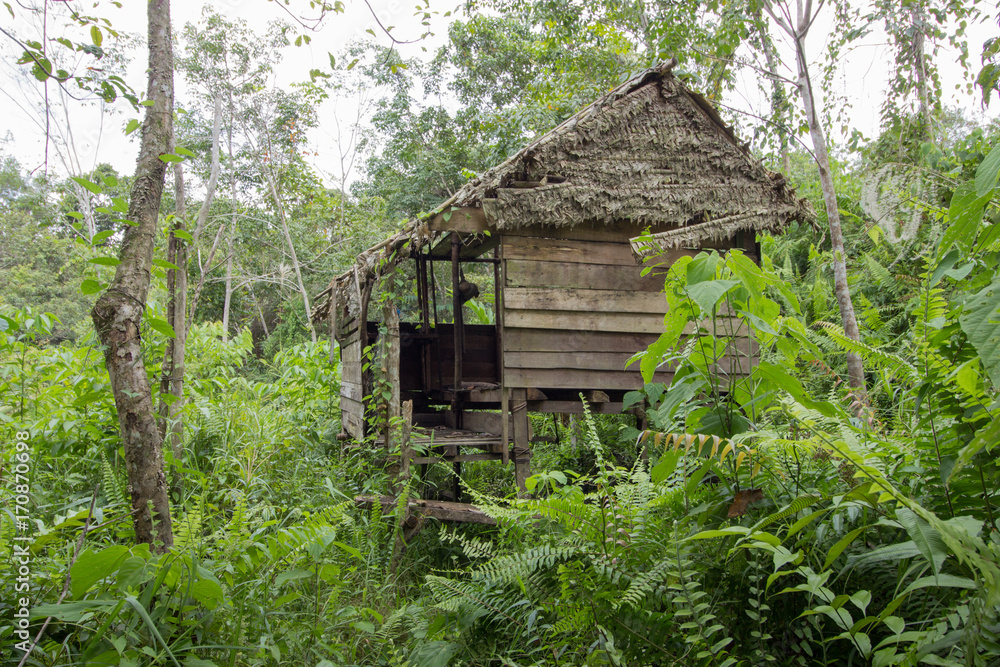 traditional houses of the native people of indonesia in village traditional houses of the native people of indonesia in village