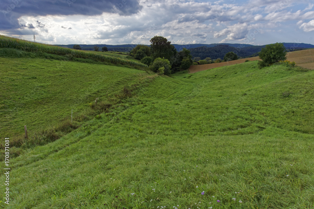 meadow landscape in lush green and cloudy sky meadow landscape in lush green and cloudy sky