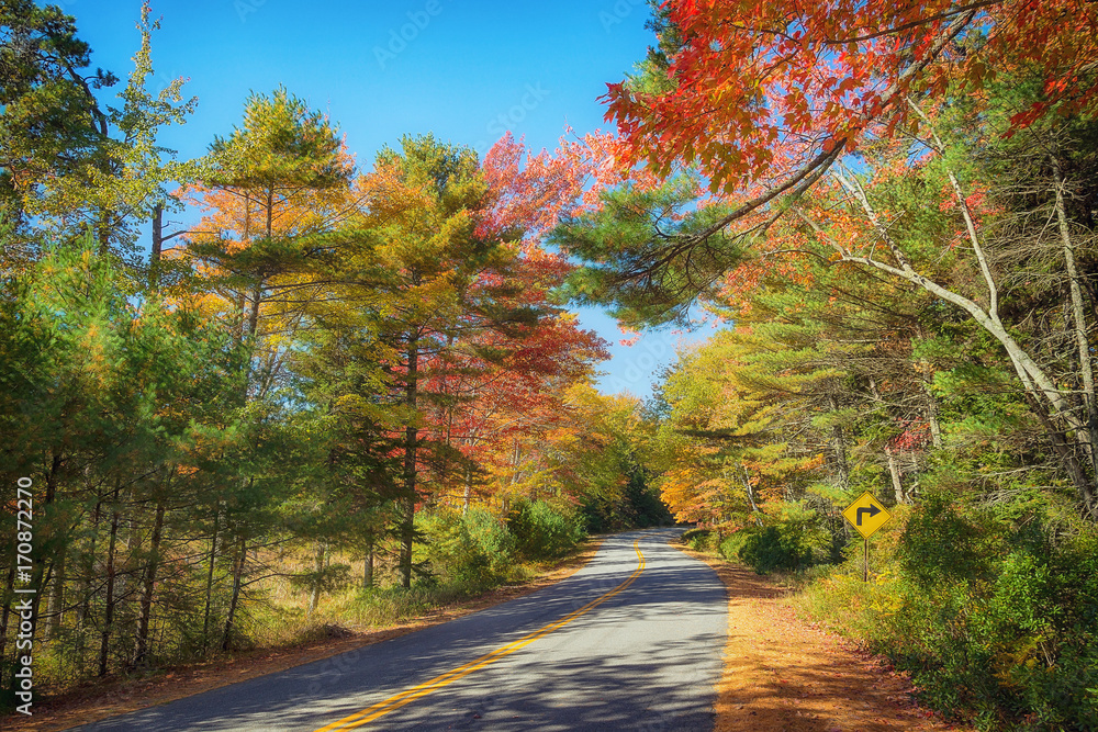 Winding road curves through colorful autumn foliage in New England