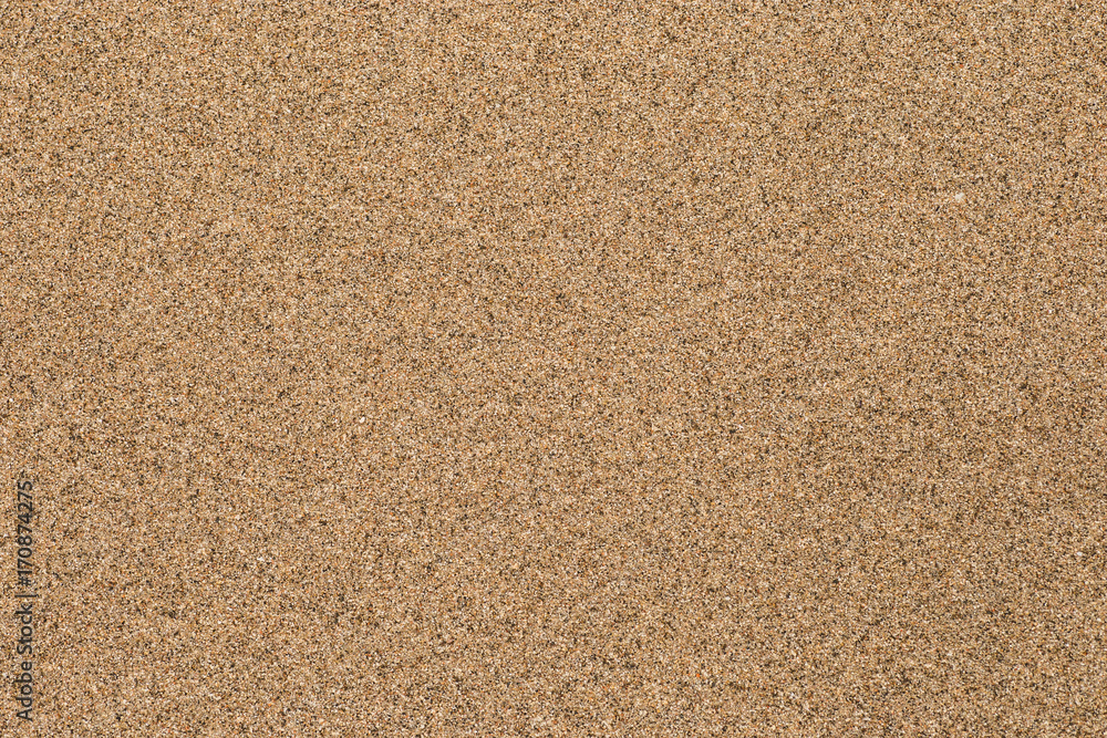 Wet sand background. Fine sea sand texture. Wet sand background. Fine sea sand texture.