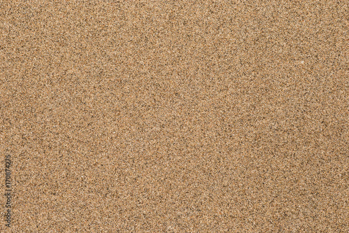 Wet sand background. Fine sea sand texture.