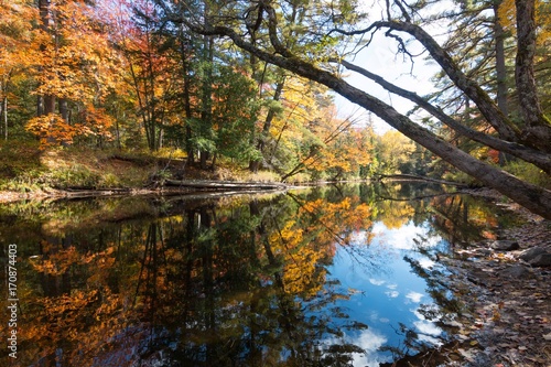 Fall Colors In Ontario