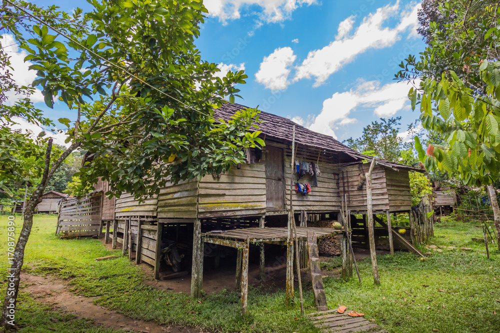 traditional houses of the native people of indonesia in village traditional houses of the native people of indonesia in village