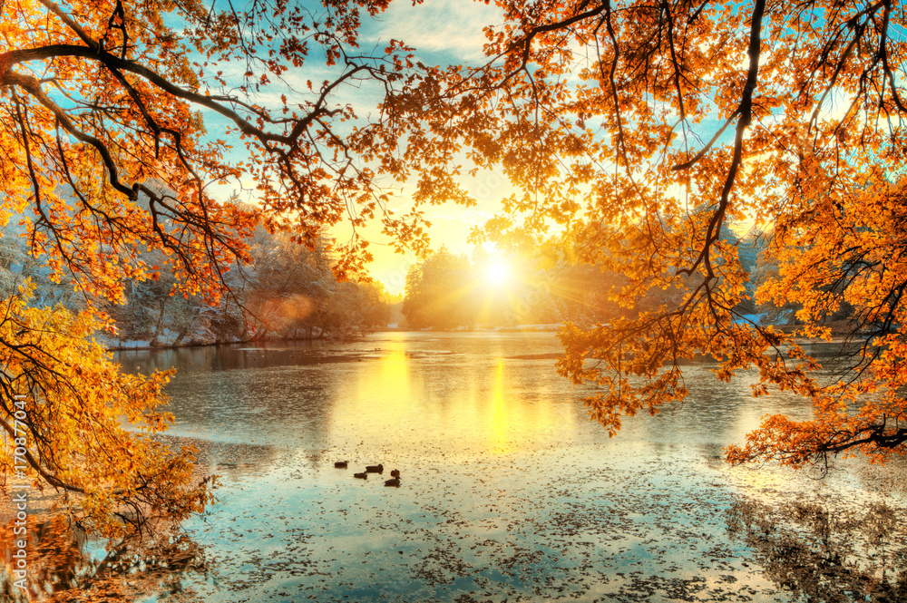 Beautiful colored trees with lake in autumn, landscape photography - obrazy, fototapety, plakaty 