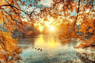 Leinwandbilder See Bunte Herbstbäume am stillen Bergsee  © Jag_cz