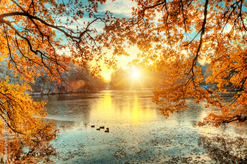 Fototapeta Naklejka Na Ścianę i Meble -  Beautiful colored trees with lake in autumn, landscape photography