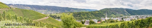 Weinberg Mosel Panorama Wolf und Kröv Enkirch Rheinland-Pfalz
