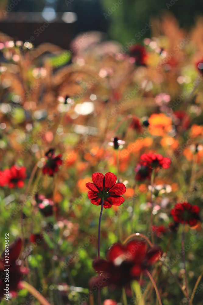 Herbstfarben pur