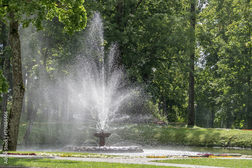 fountain in summer park