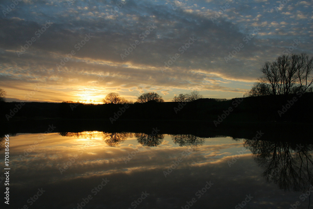 Fototapeta premium Spiegelung im Hochwasser