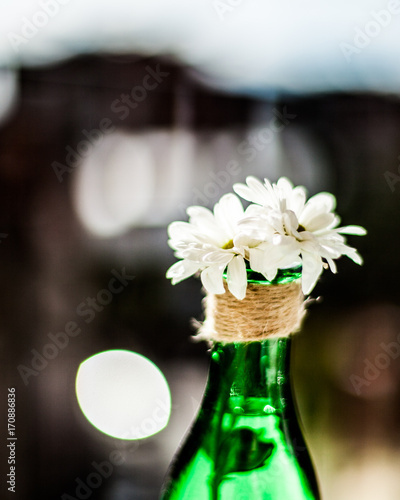 Daisies in a glass vase