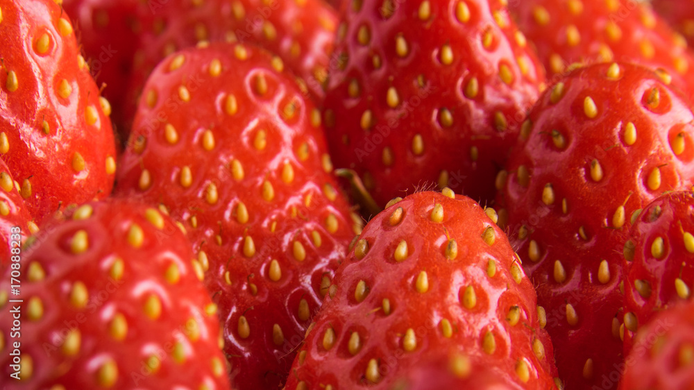 fraises en gros plan fraises en gros plan