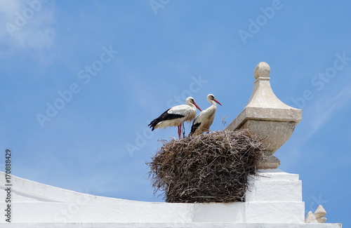 Storchennest photo