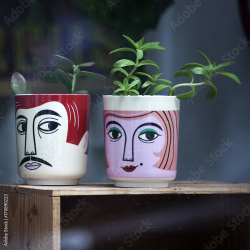 Obraz na plátne funny cups with male and female faces in the shop window for sale