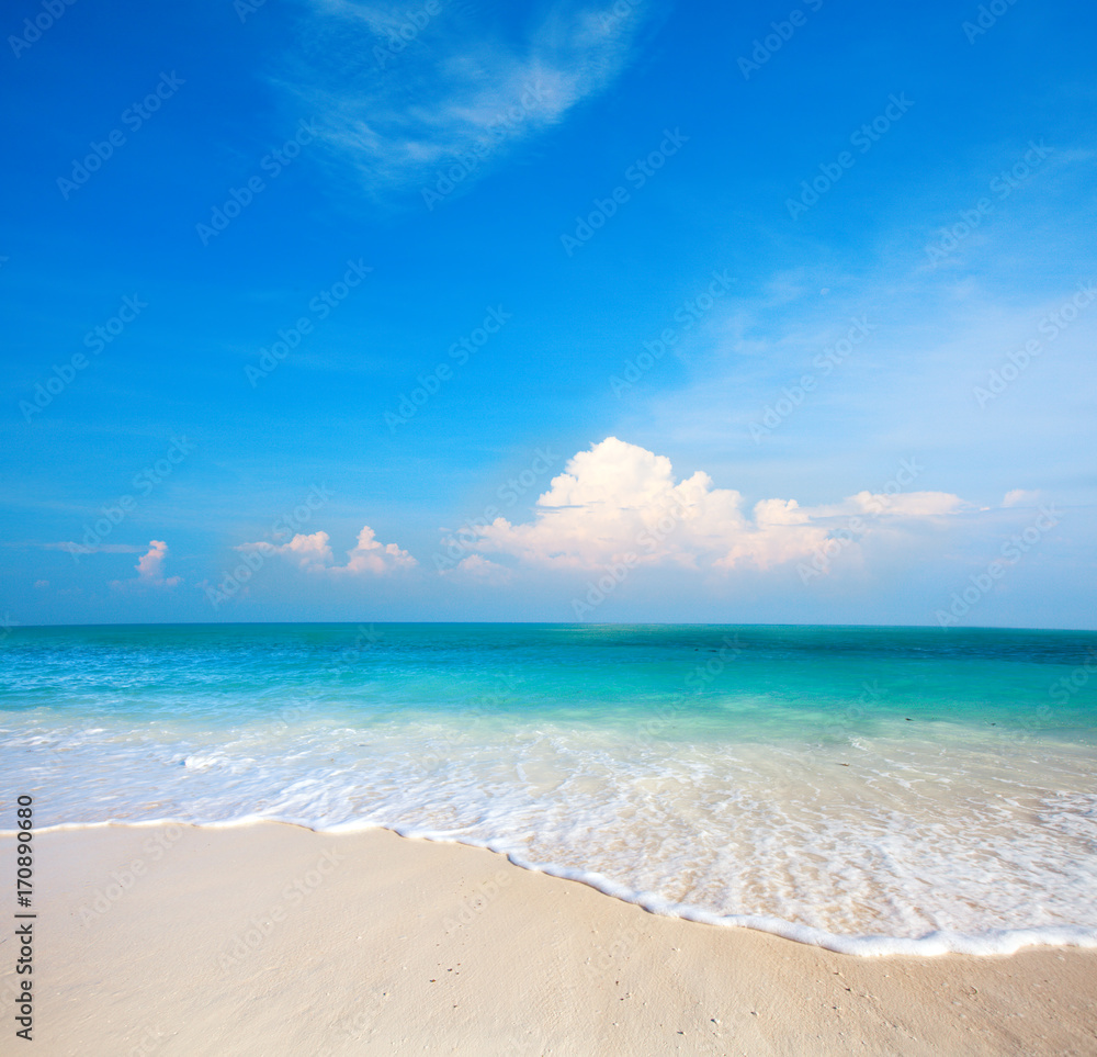 Obraz premium beach and tropical sea