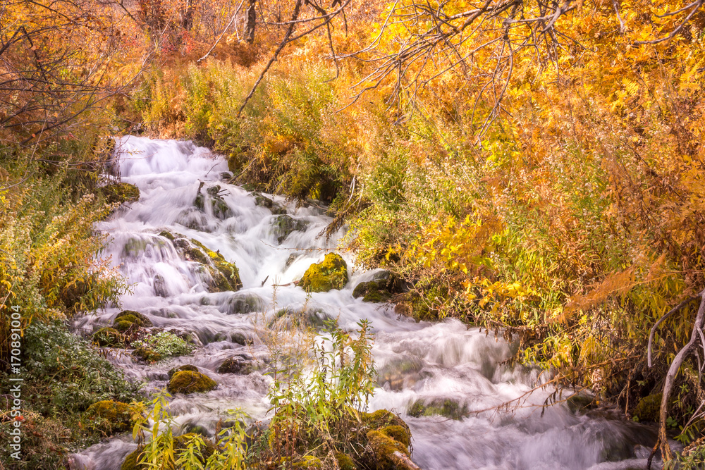 Cascade Springs Water Fall