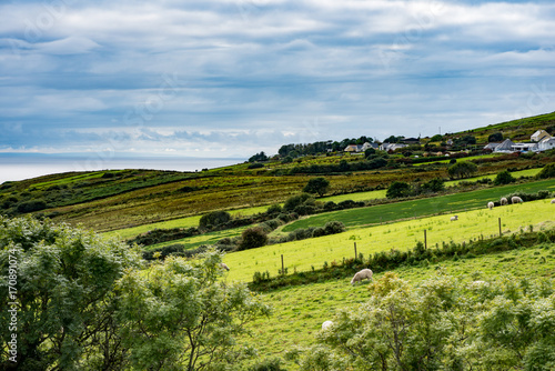 Slieve League Cliffs, County Donegal, Ireland © Chris