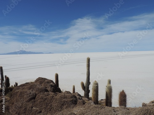 Salar de uyuni salt flats in Bolivia