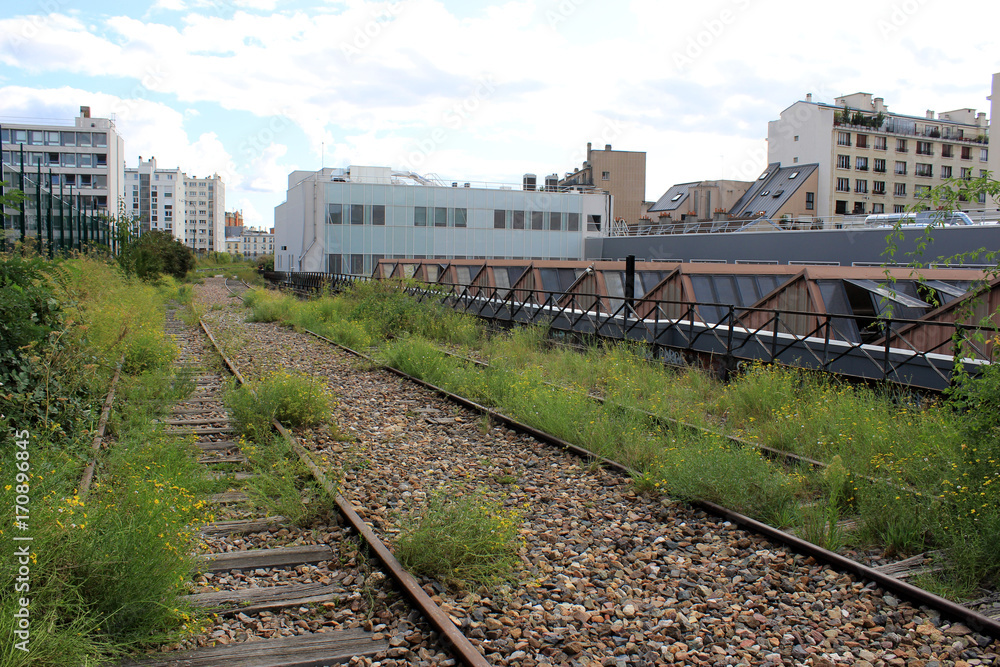 Paris - La Petite Ceinture - 20ème