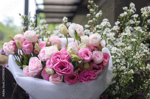 bouquet of pink roses with flower background